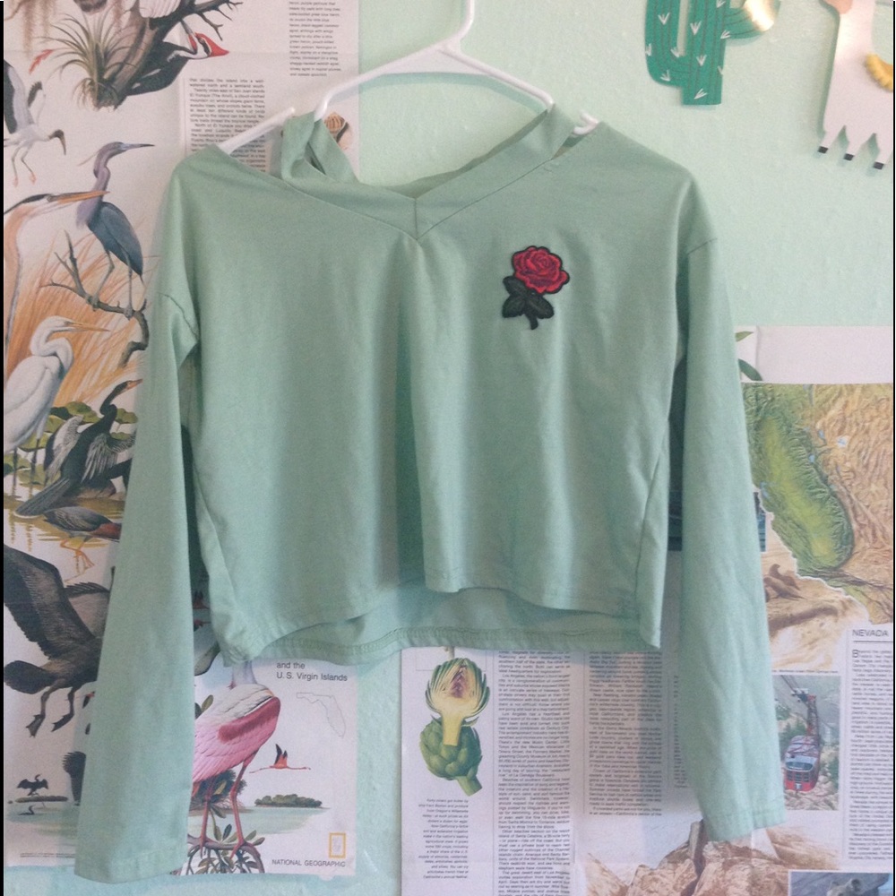 mint rose crop top